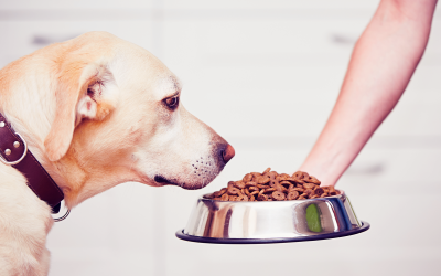 Aké požiadavky by mali spĺňať obaly pre segment pet food?